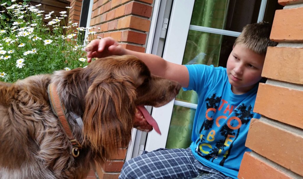 Autism In Dogs - Jack & Co.